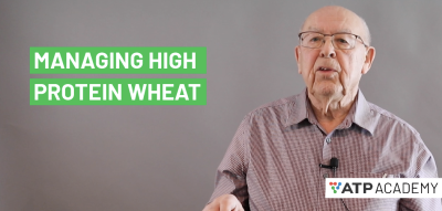 Managing high protein wheat - dr. race