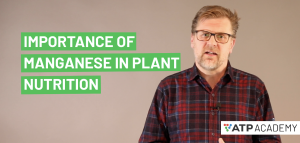 Importance of Manganese in Plant nutrition video thumbnail