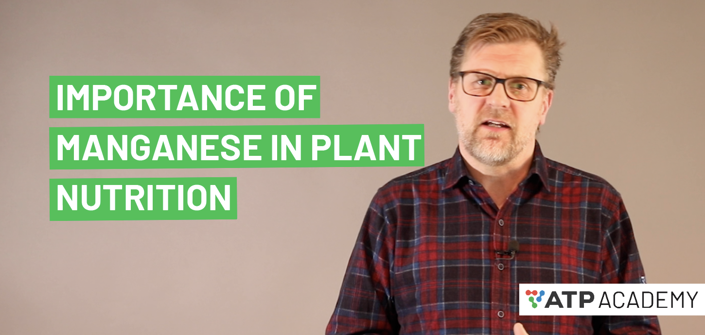 The Importance of Manganese in Plant Nutrition ATP Academy