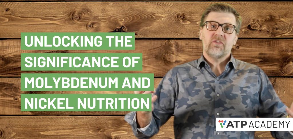 Unlocking the Significance of Molybdenum and Nickel Nutrition