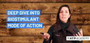 Deep Dive into Biostimulant Mode of Action