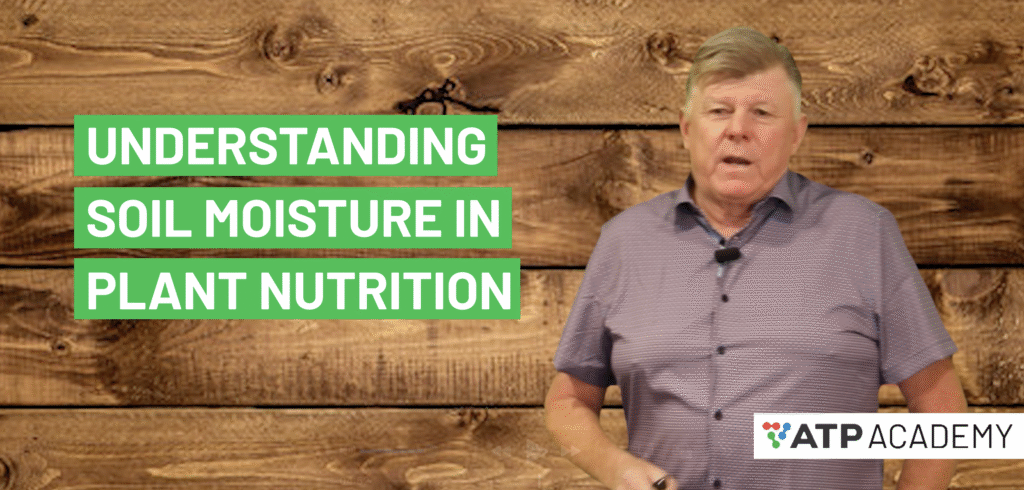 Understanding Soil Moisture in Plant Nutrition