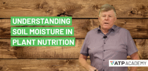 Understanding the Role of Soil Moisture in Plant Nutrition